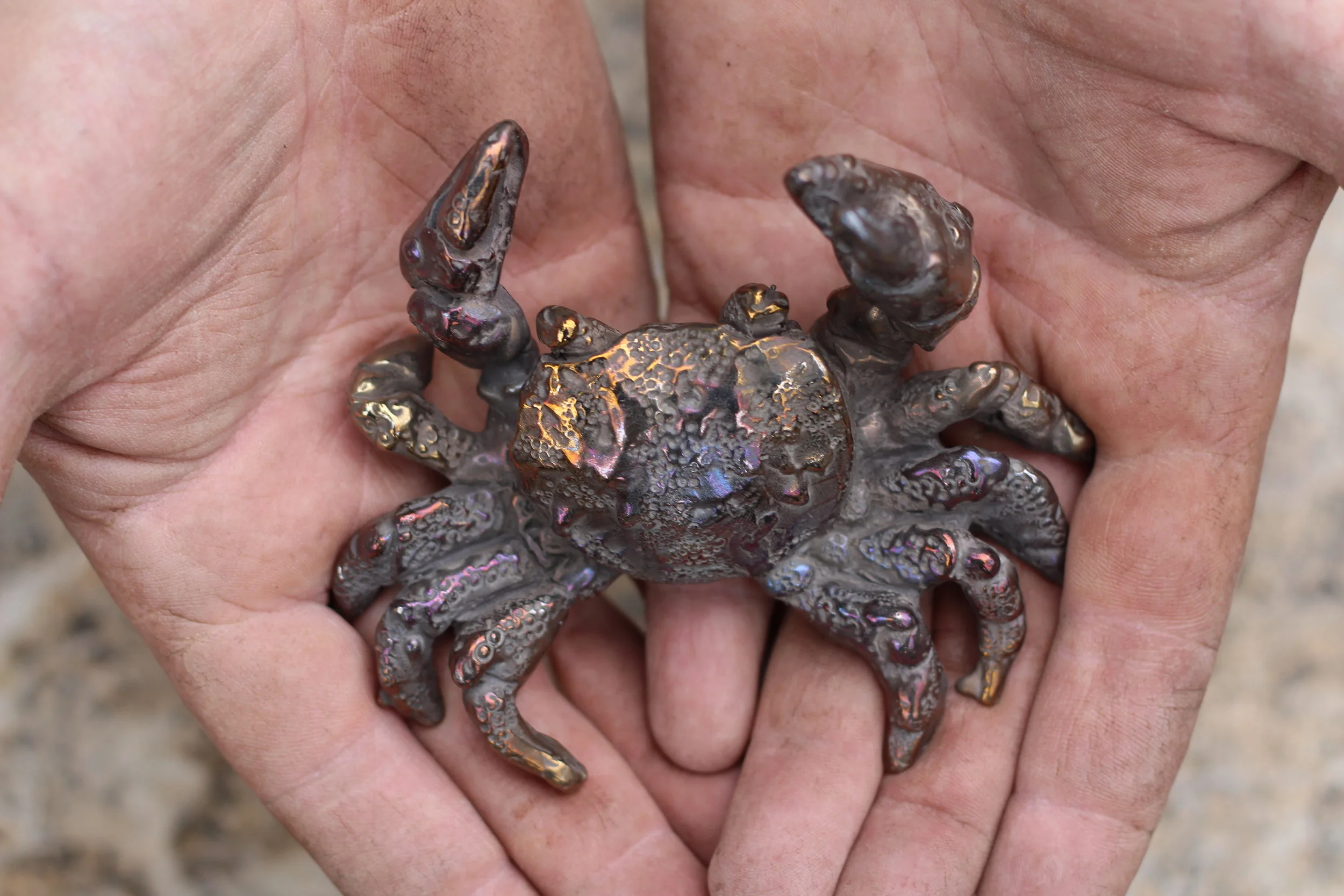 Heat coloured stainless steel crab