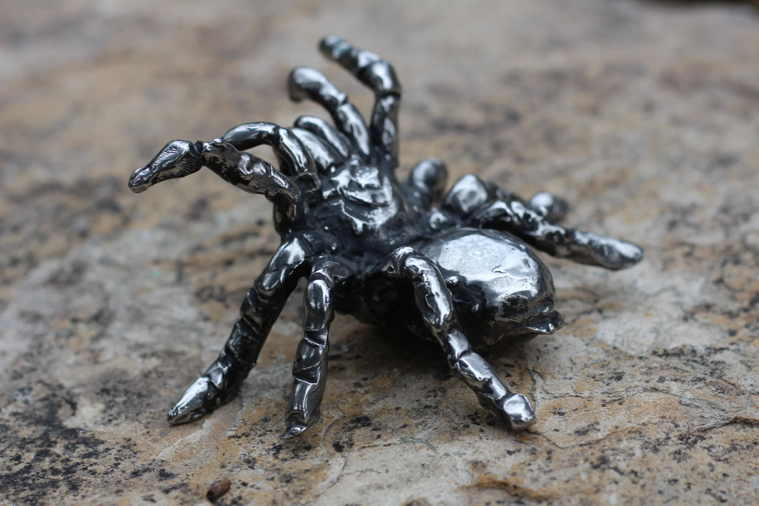 Stainless steel funnelweb spider (120mm wide)