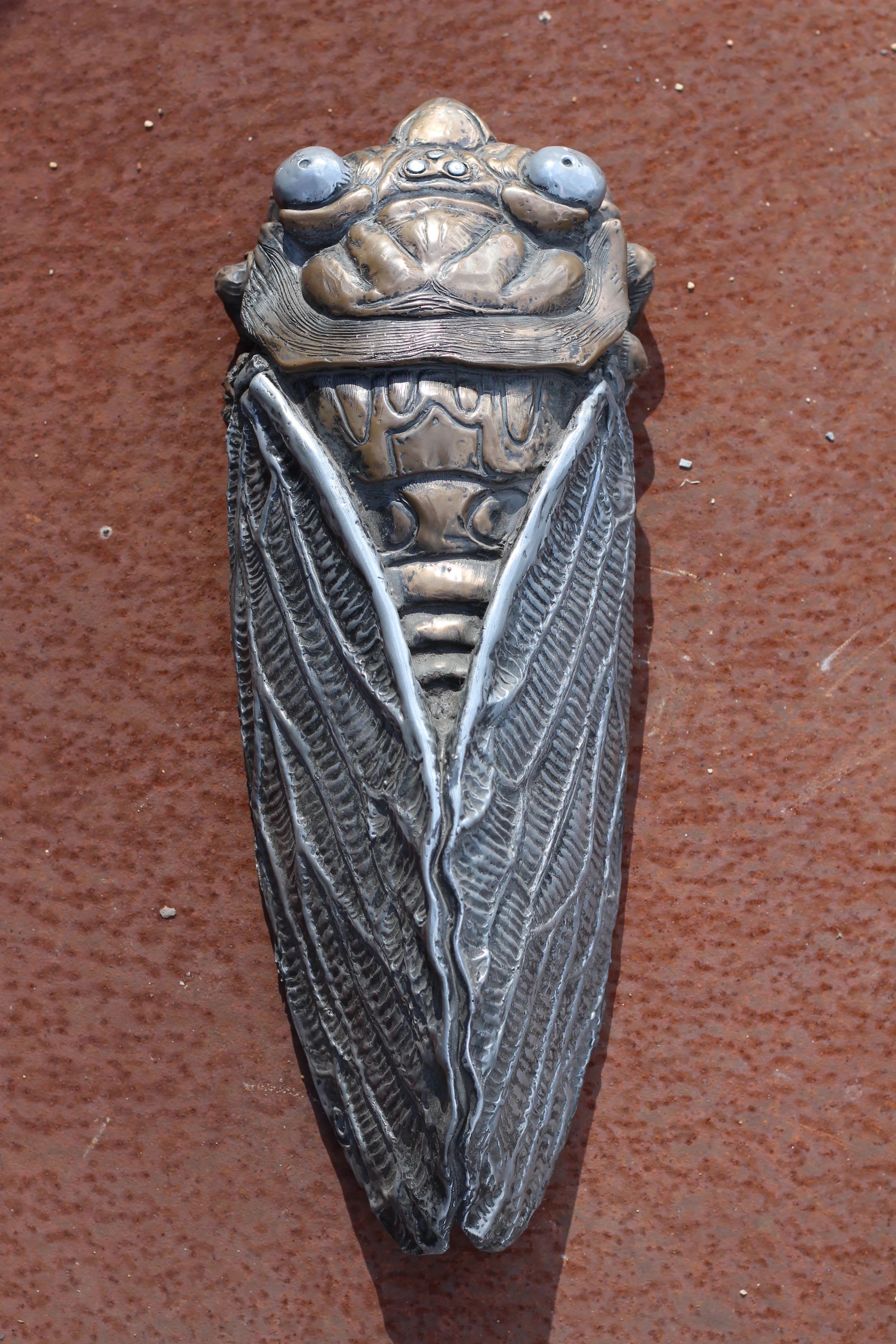 Large fiberglass/metal composite cicada (400mm long)