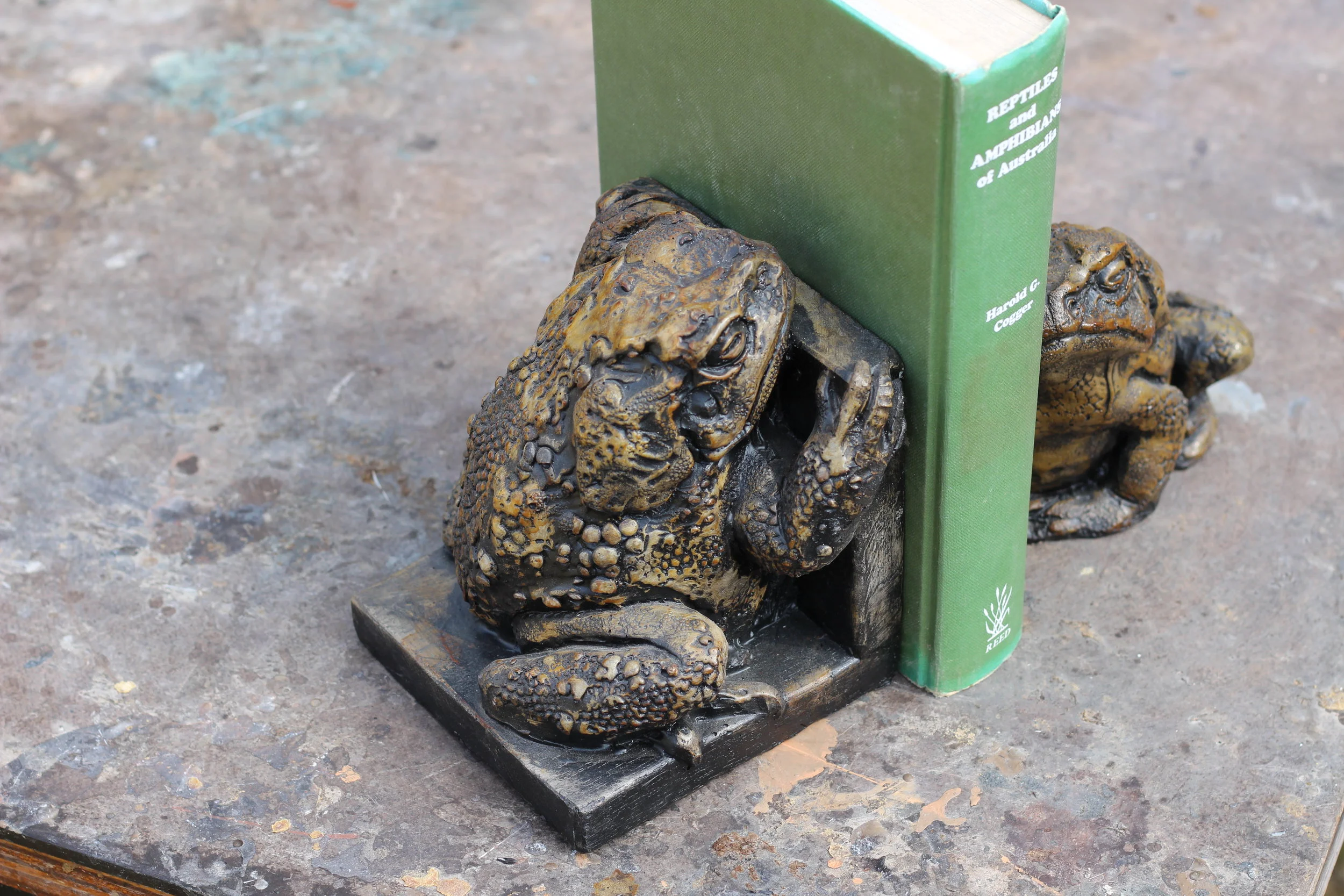 Cane toad bookends