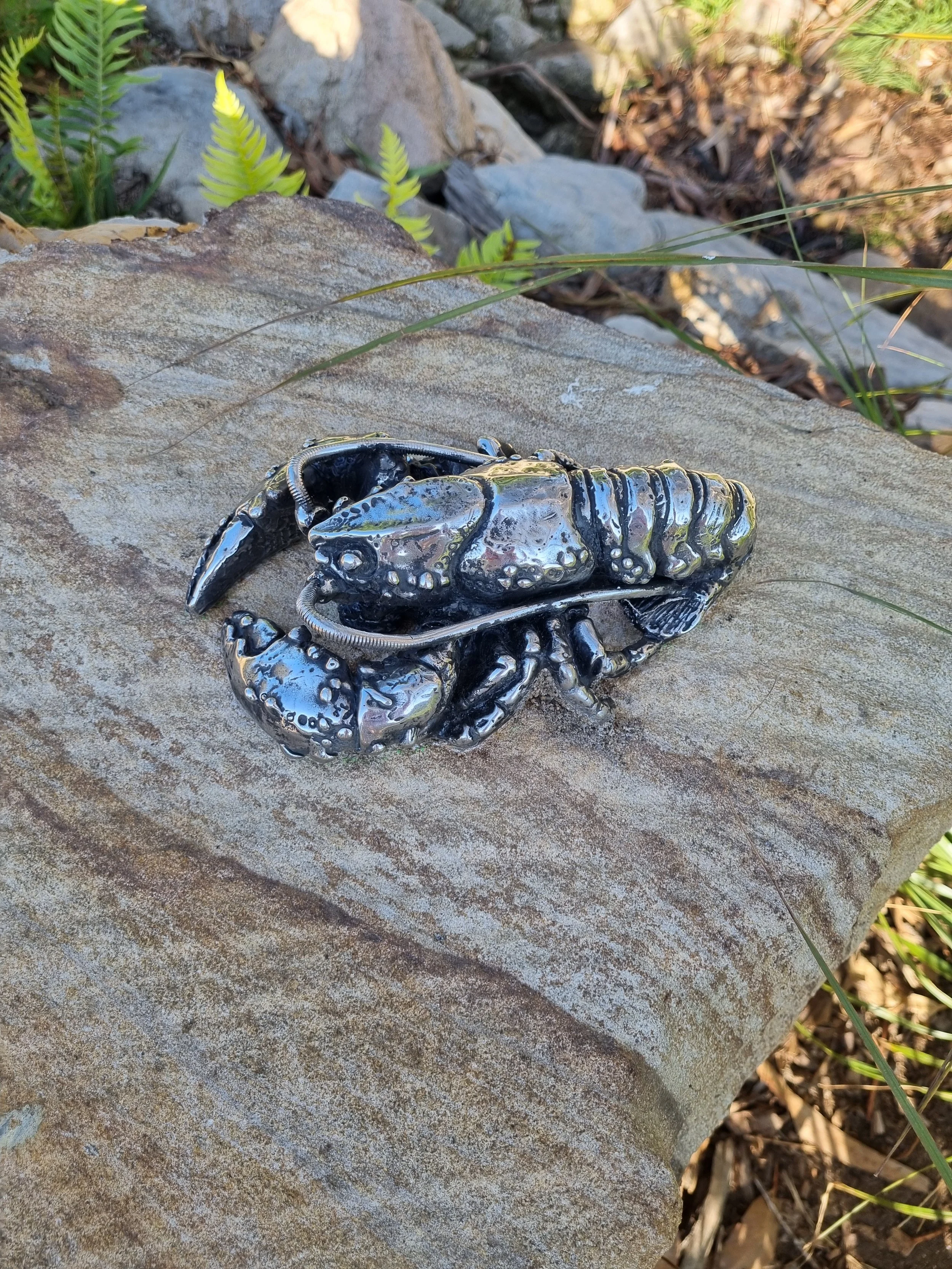 Tim Johnman, Yabbie, Mt Victoria Park.jpg