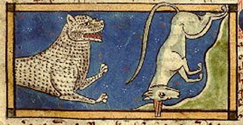 mediaval_zoo.jpg