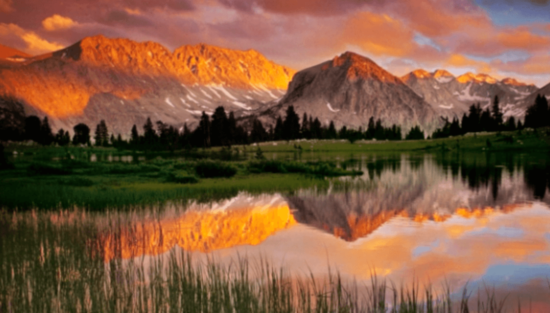 Cultivating Equanimity on the Road to Compassion