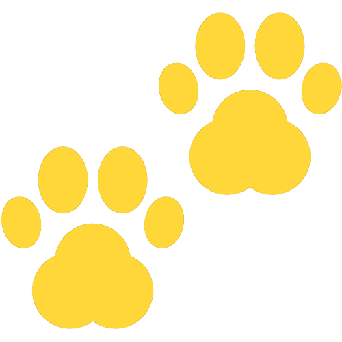 animali_ammessi.png