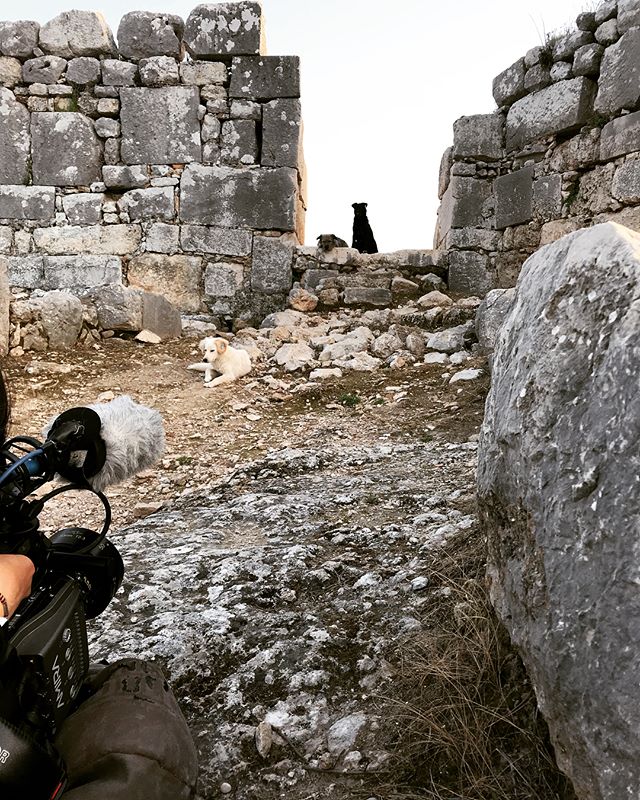 Shooting #stray with @lizbokinglo #strayfilm #featuredocumentary #documentaryfilm #documentary #shootinginturkey #filmmakers #filmproduction #producing #womenfilmmakers #onset #shoot📷