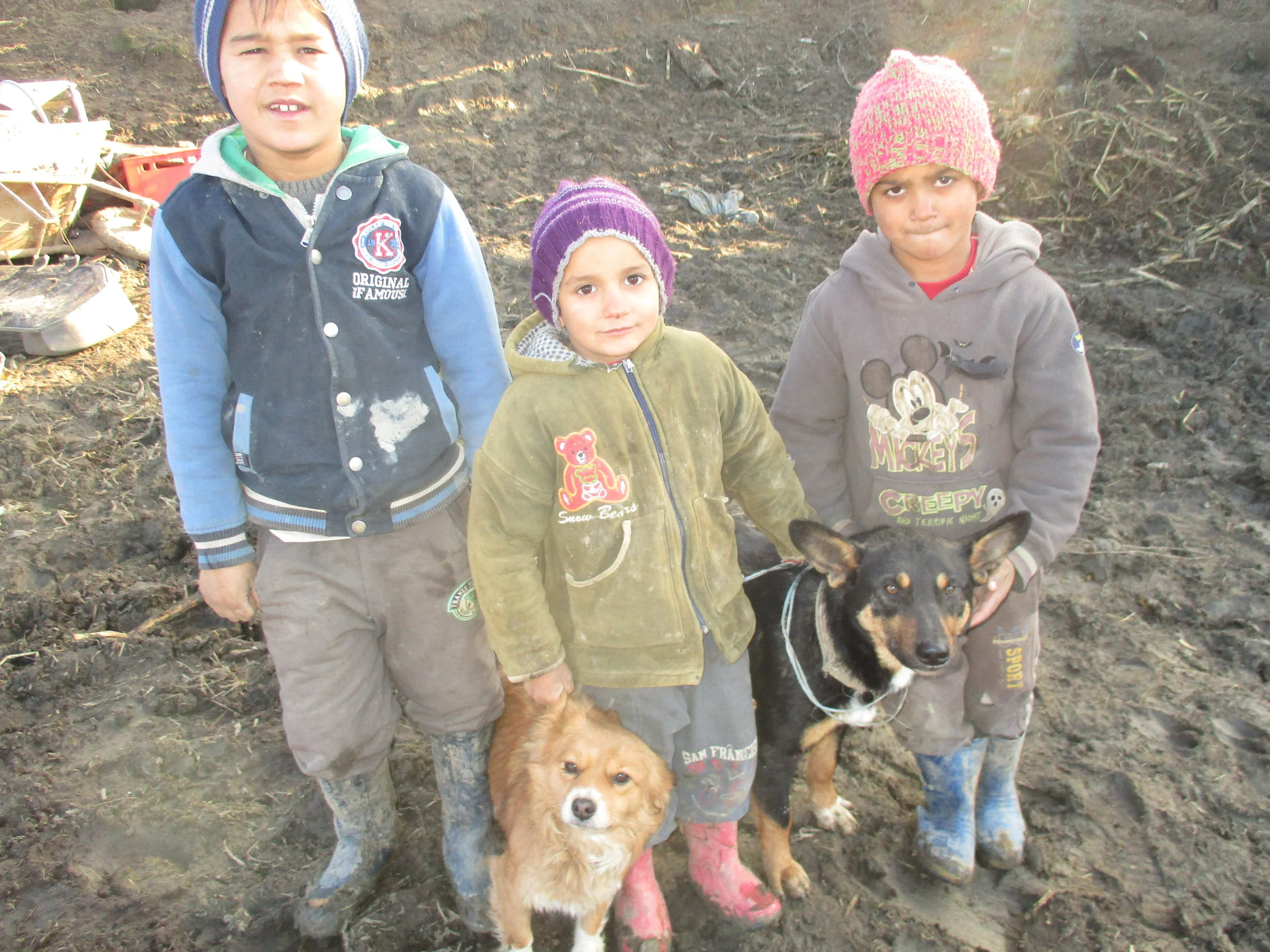 Ostrumänien, diese EU-Bürger werden stets vergessen. Unsere Adoptionsgruppe gibt vielen Kindern Halt und Hoffnung. Wir versuchen eine faire Chance zu bieten…