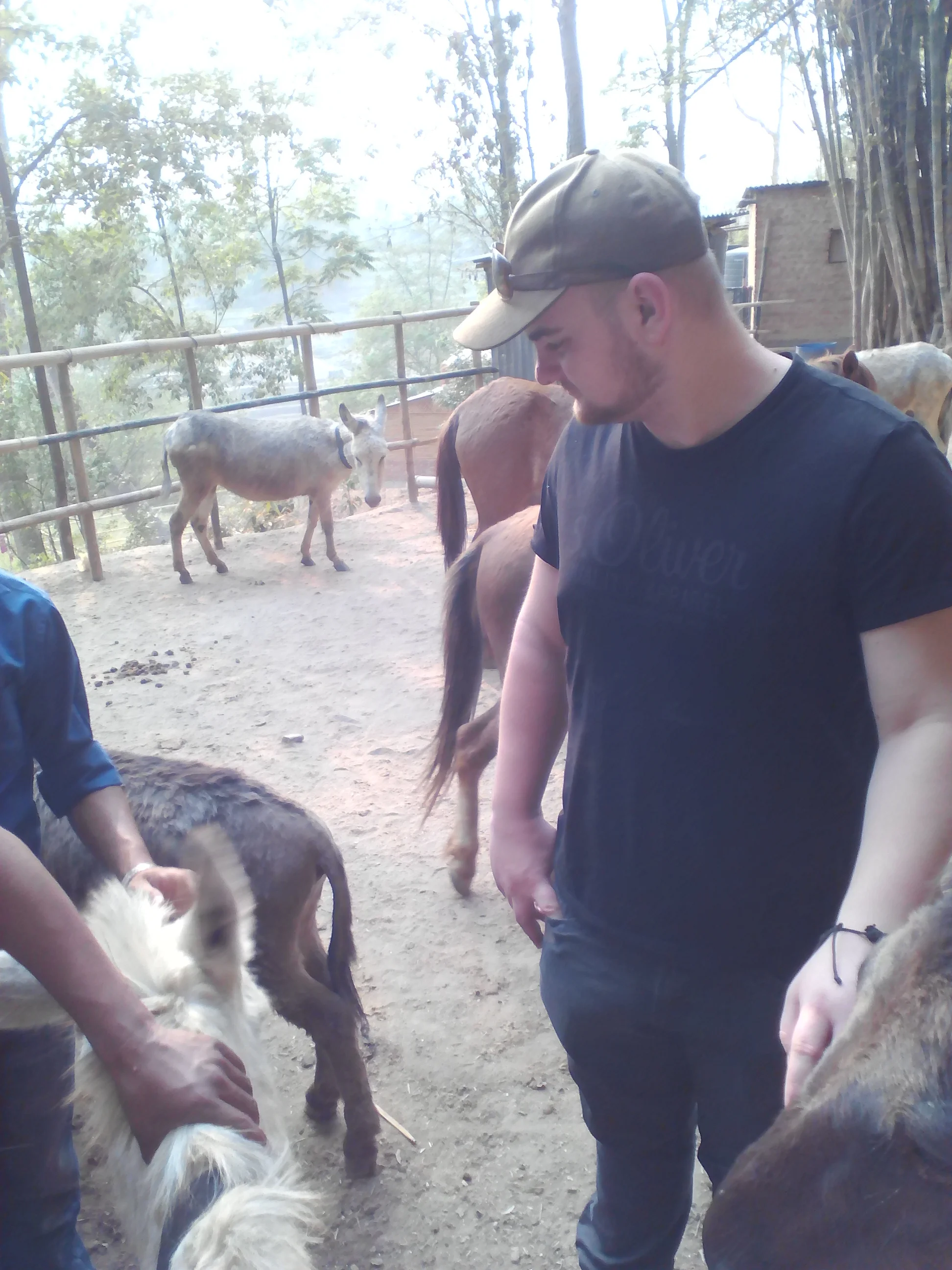 Jannis Raabe. Es wurden Ponys, Esel, Ziegen und Kühe vom Team Equiwent in Nepal behandelt.