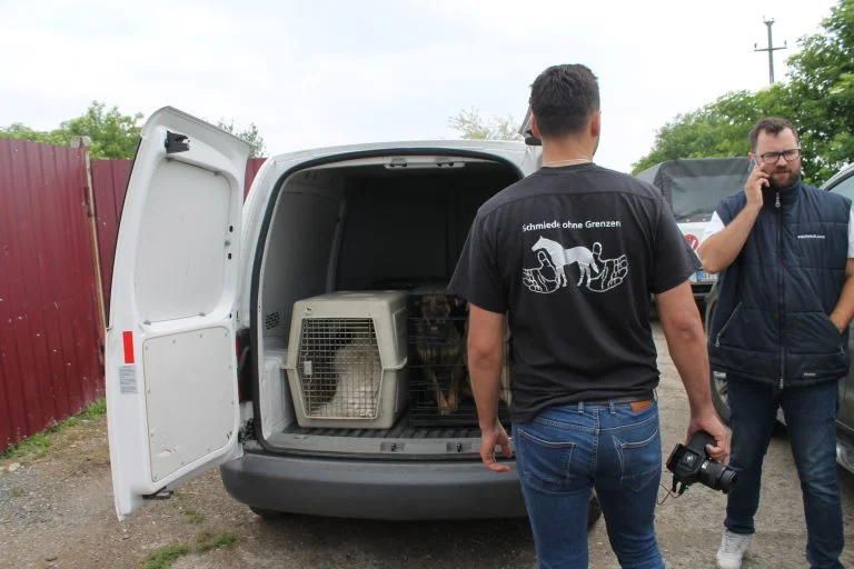 Team Equiwent verbringt die ersten Hunde in die eigene Tierklinik.