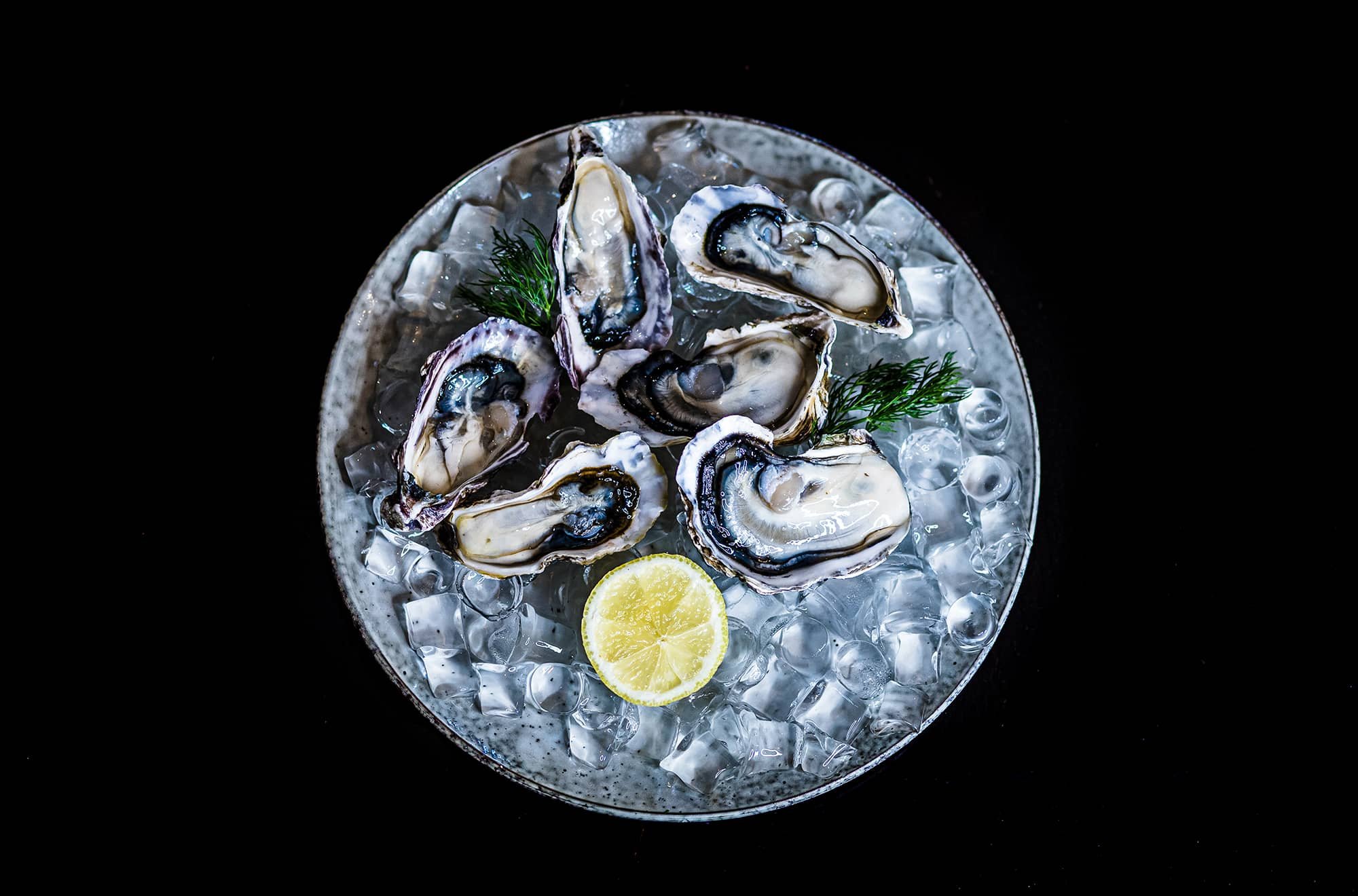 Oysters.jpg