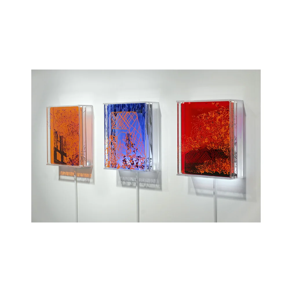 Exhibition Image Allen Gallery , Chelsea New York 2007