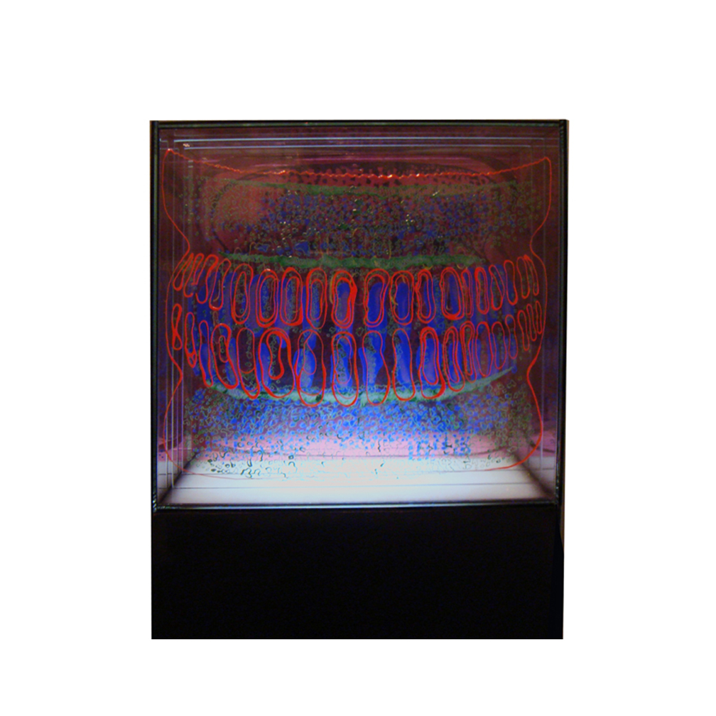 14_Diatom_ 7 layers of painted and fired glass with LED light panel and wooden pedestal_30 cm x 30 cm x 30cm_2013.jpg