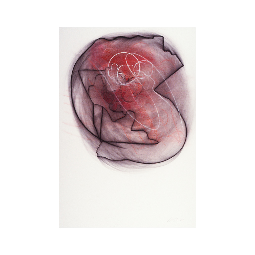 02_ Heart_chalk pastel  on paper 80 cm x 100 cm_private Collection USA_1997_email.jpg