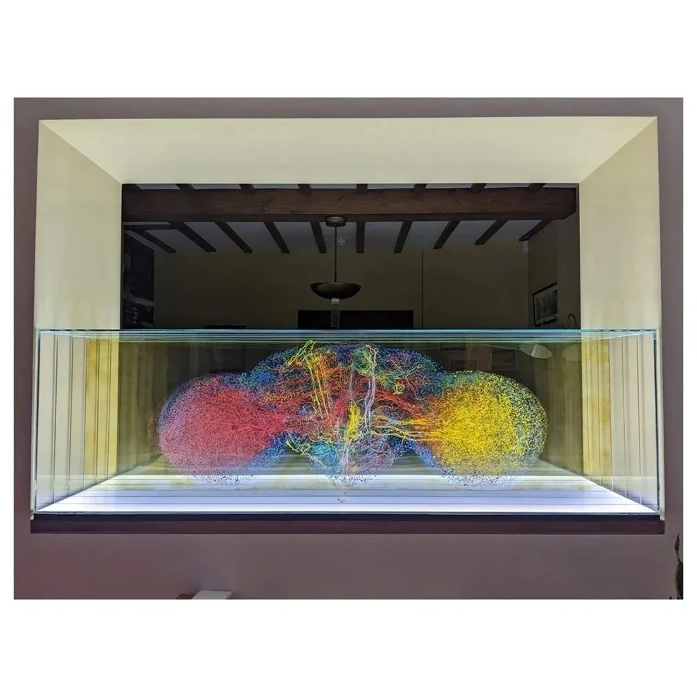 "Drosophila Equilibrium" 7 layers of painted and fired glass set in glass with LED light pedestal   (Copy)