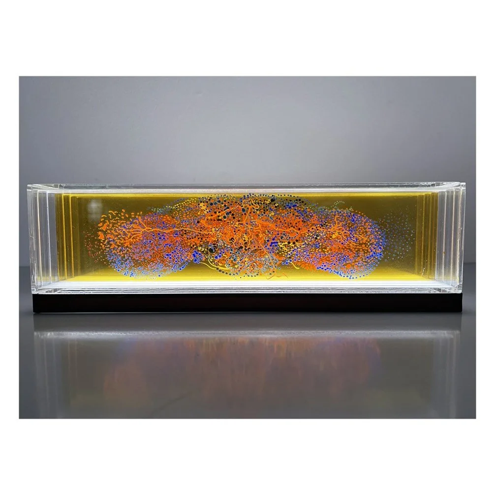 Drosophia equilibrium study_2_2022.jpg