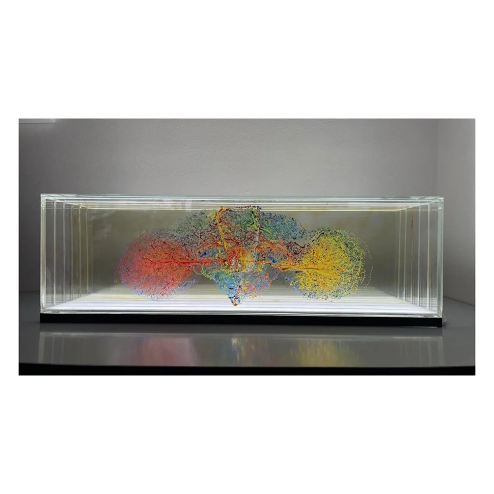 Drosophila equilibrium_glass study_2022.jpg