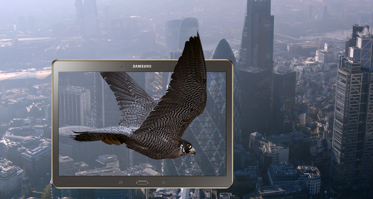 Samsung Falcon Press.jpg