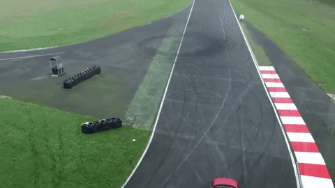 giphy (1).gif