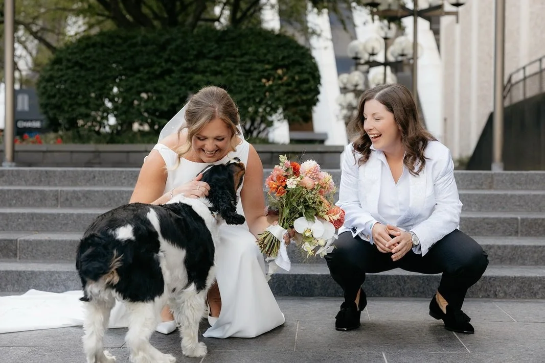 guest of honor🤍🐾