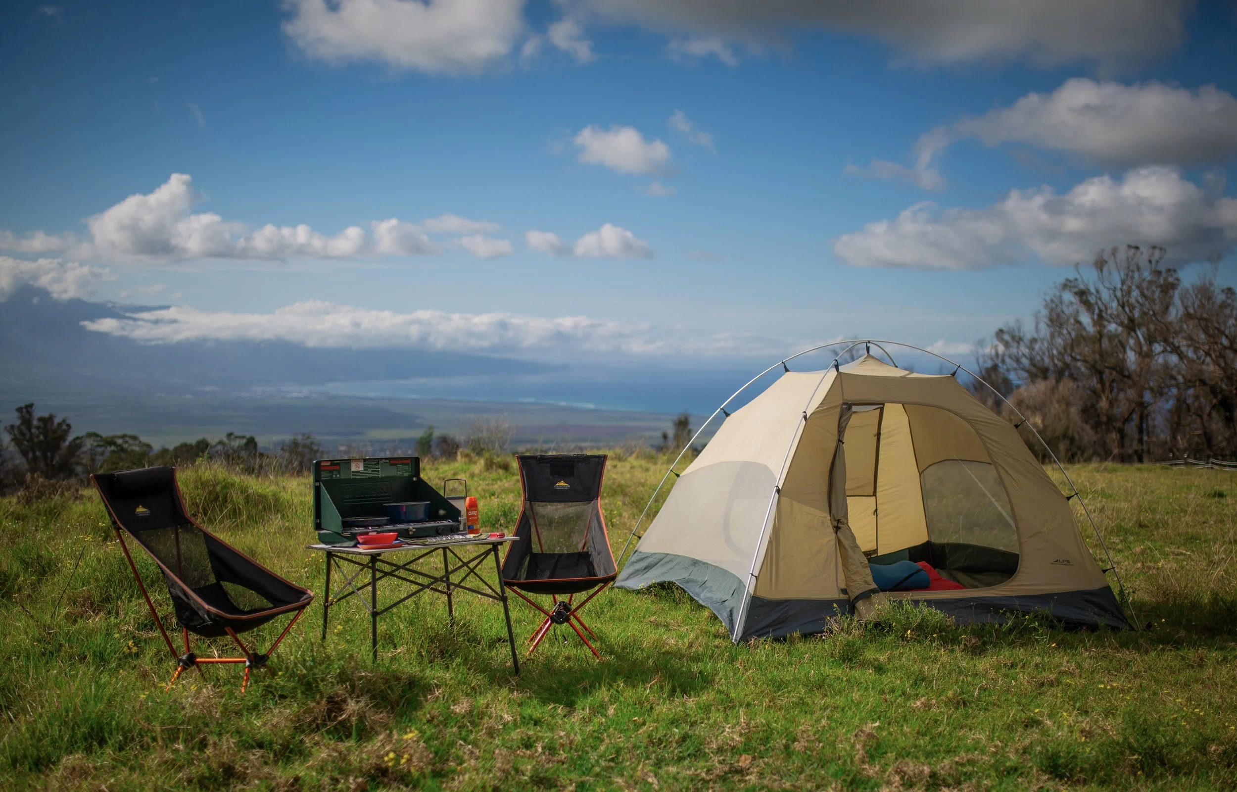 MCC New Backdrop.jpeg