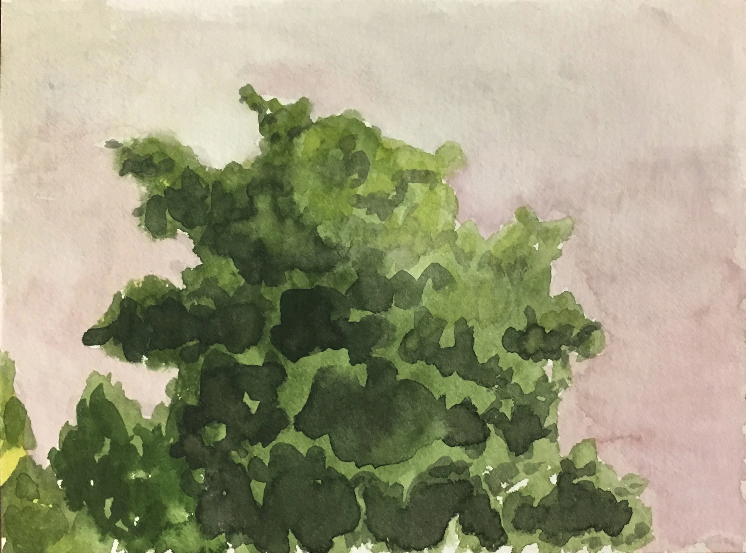 Plein air watercolor, Sewanee, TN (2019)