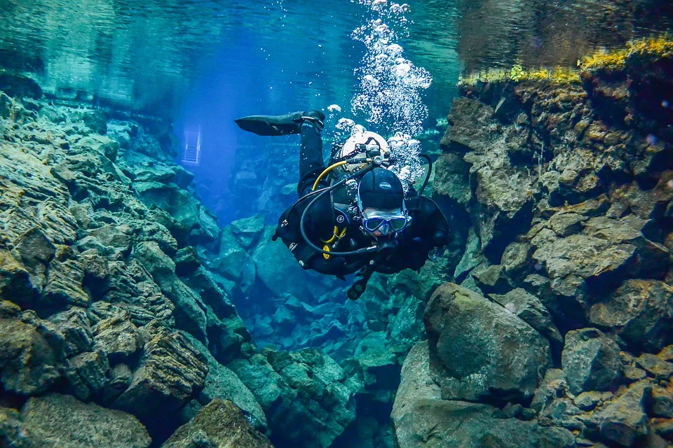 underwater-3237943_960_720.jpg