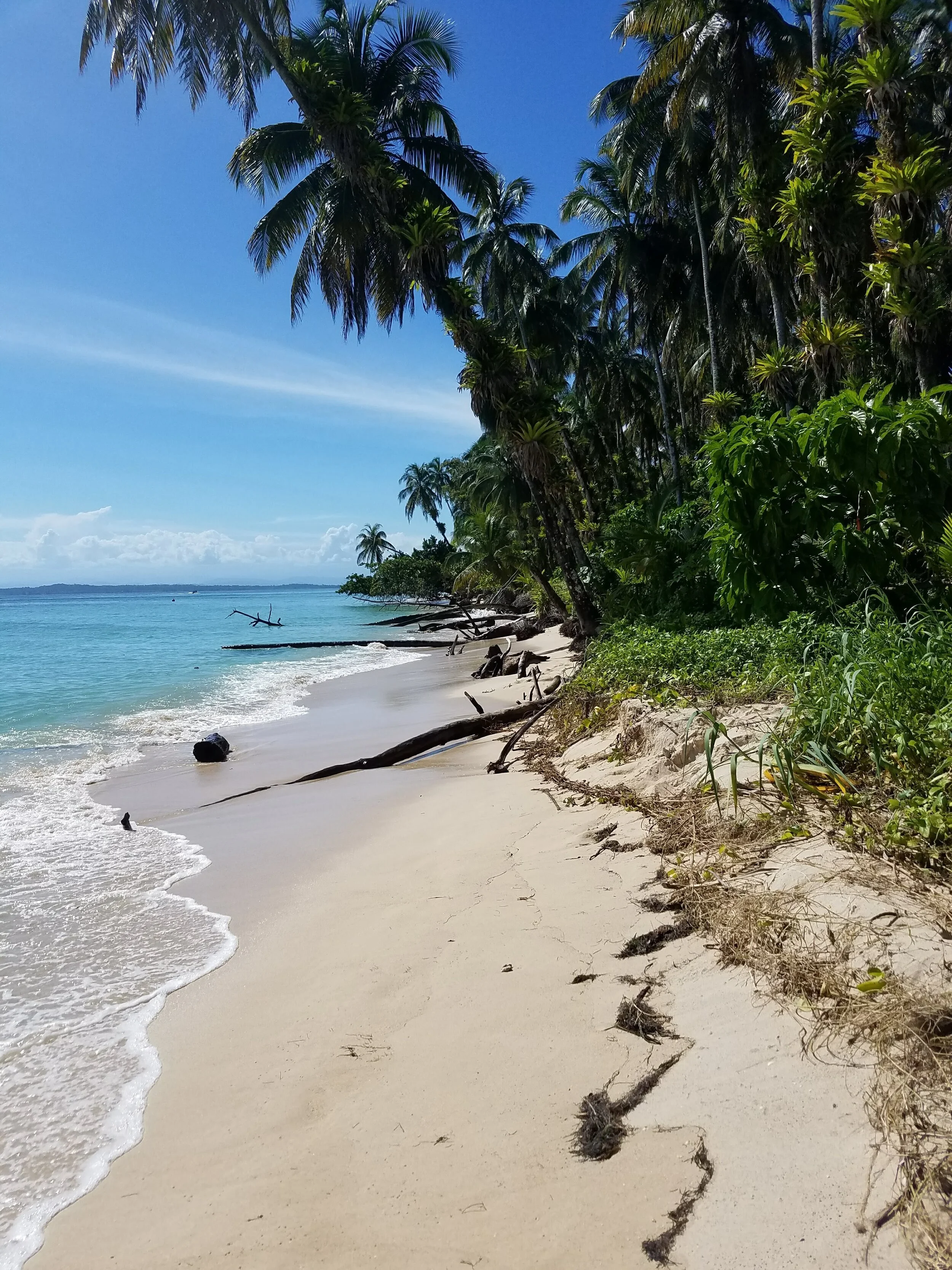 Where is Bocas Del Toro?