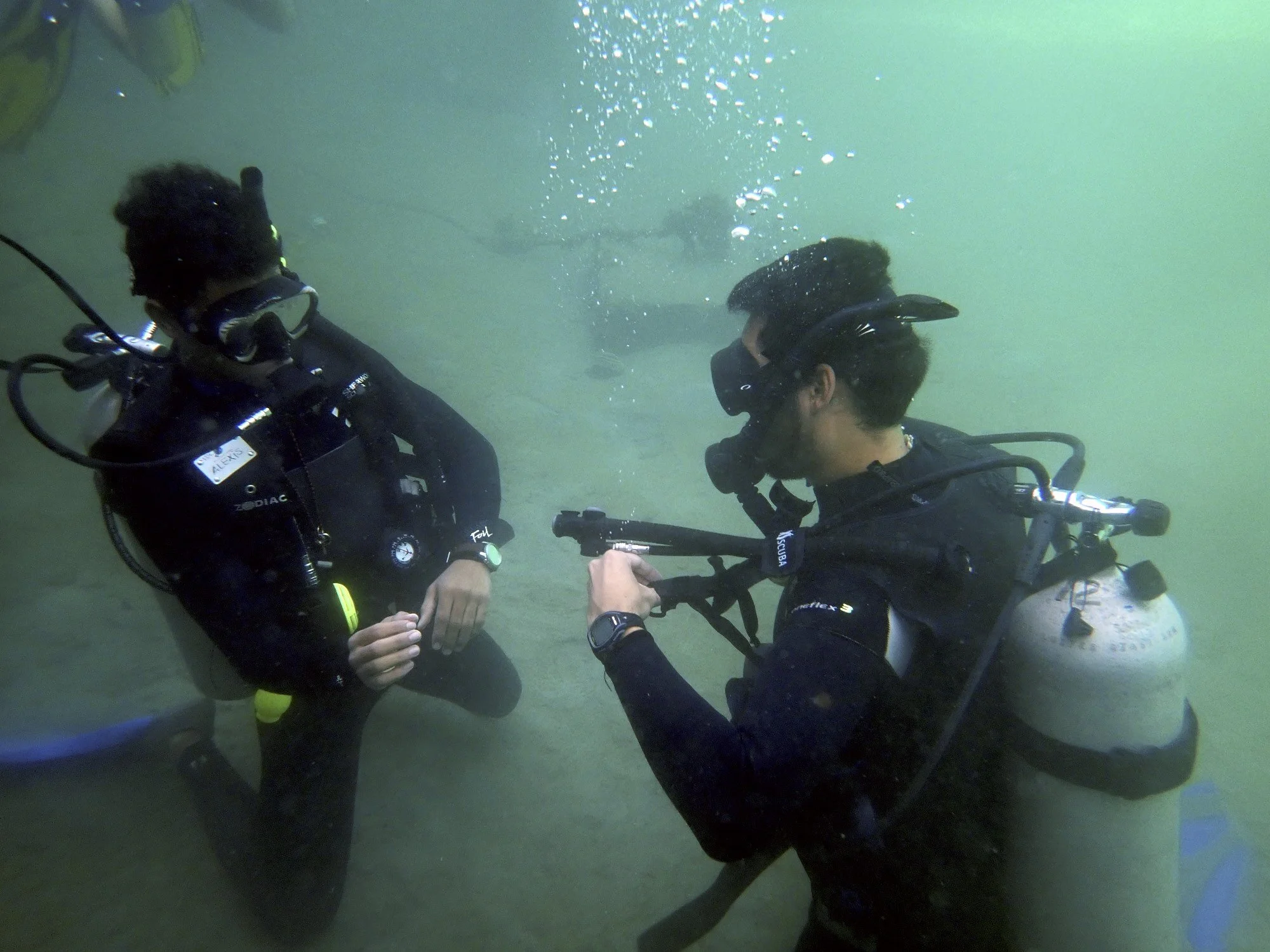 Refresh your dive skills with great local prices