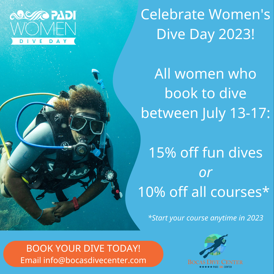 Celebrating diversity in diving on women's dive day