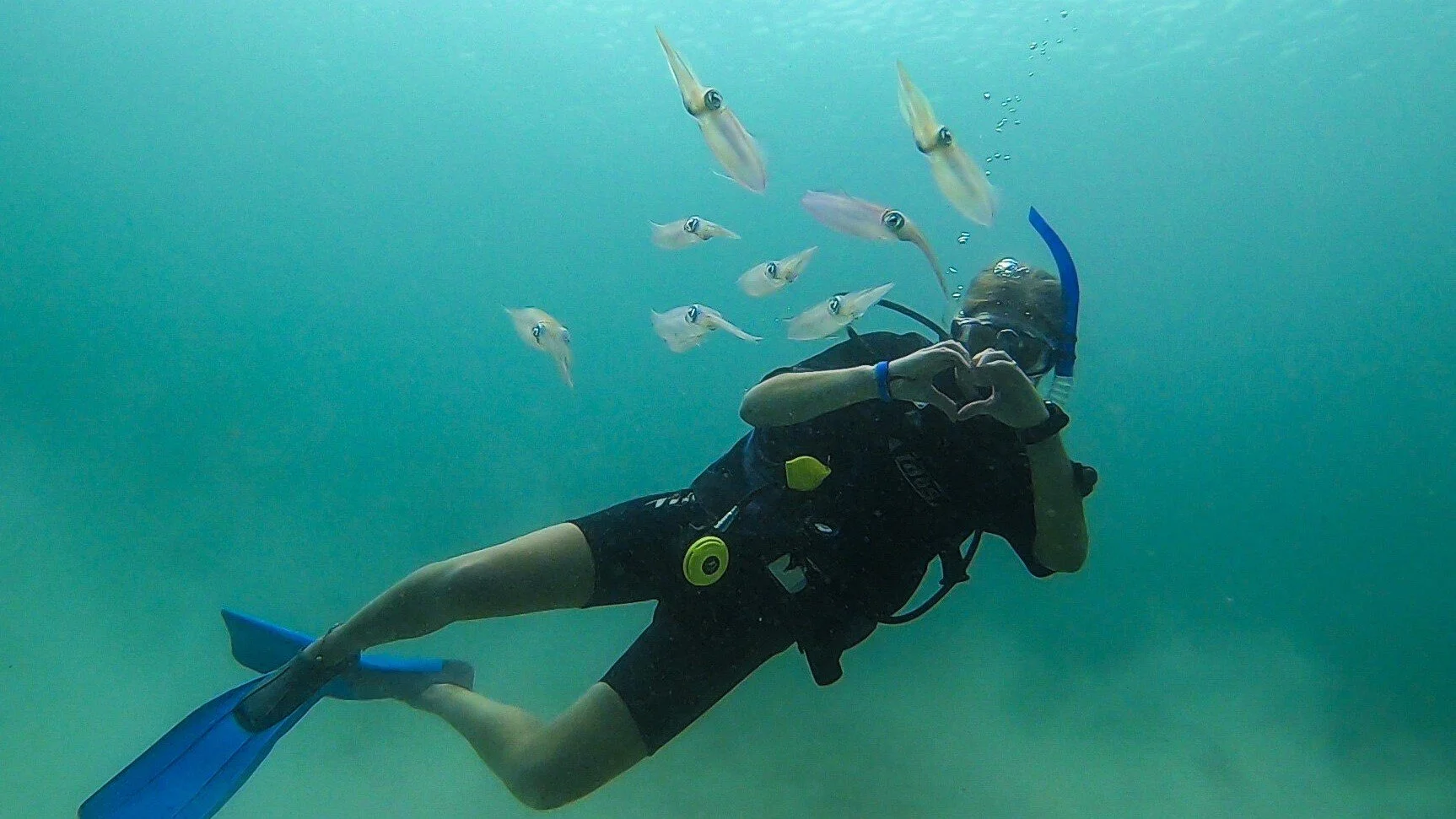 Gift Voucher - Discover Scuba Experience