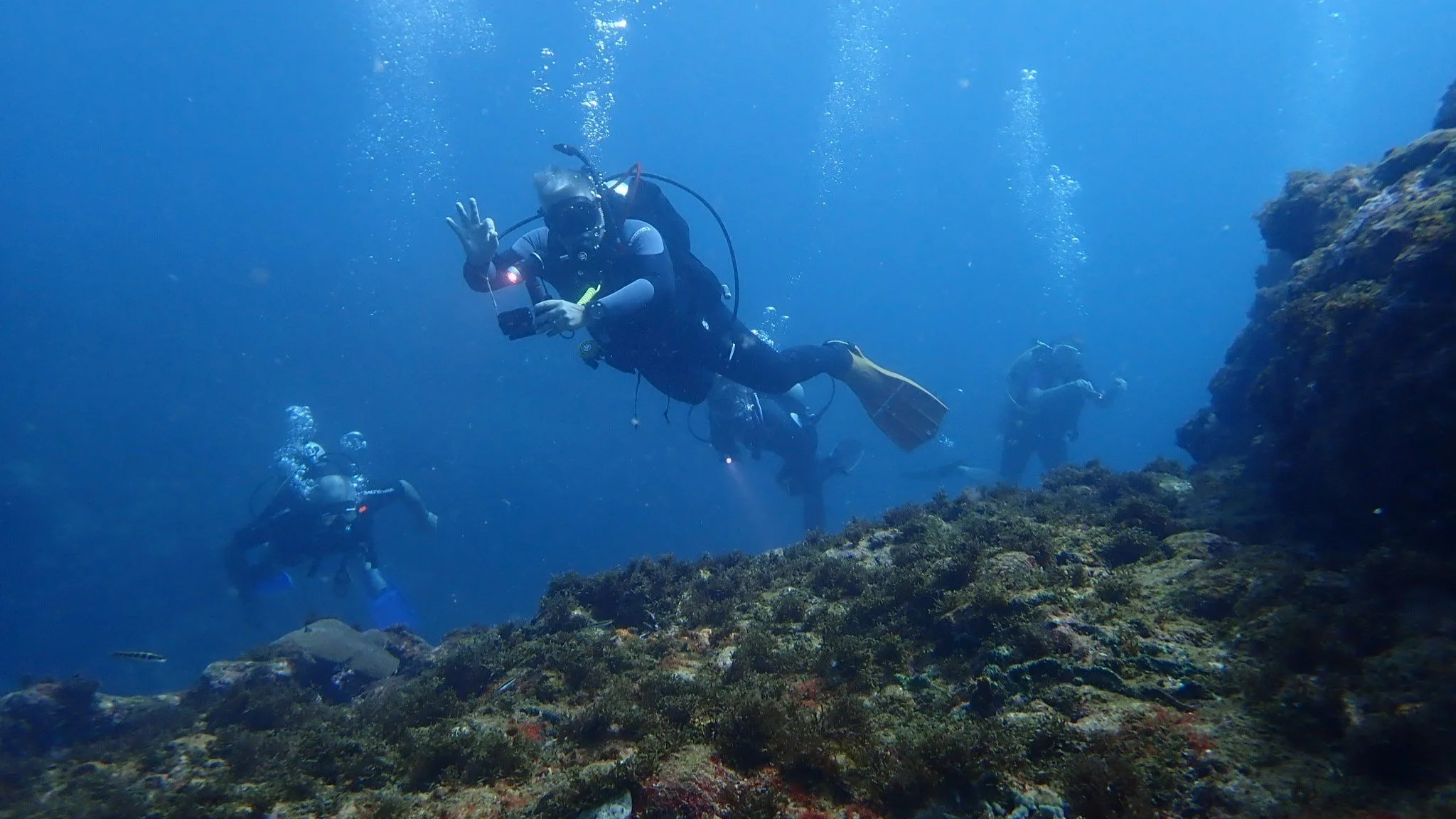 Gift Voucher - Fun Dive (for certified divers)