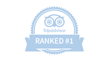 logo-tripadvisor.png