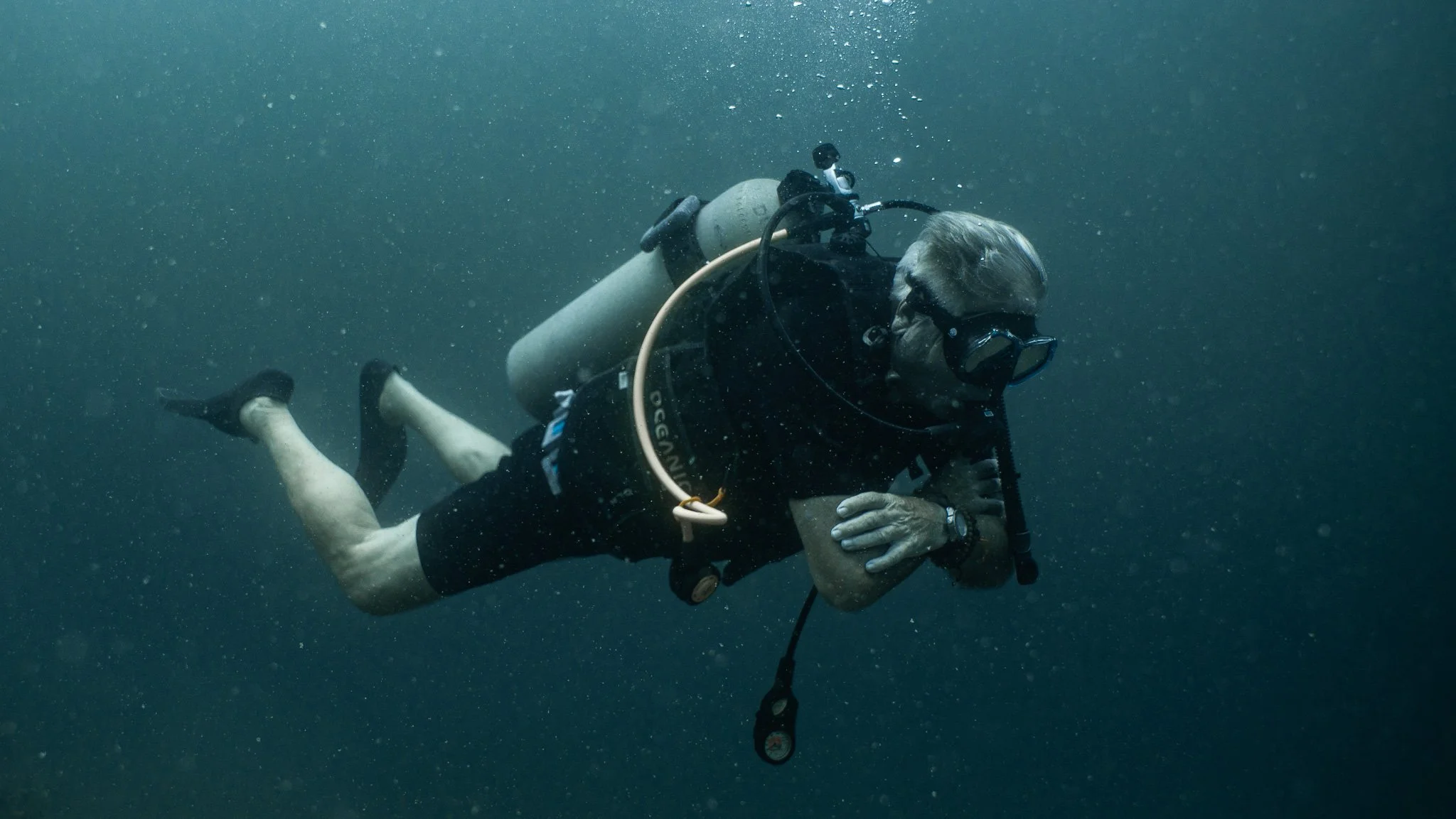  Learn to Dive in Bocas del Toro: Your First Step Into the Ocean