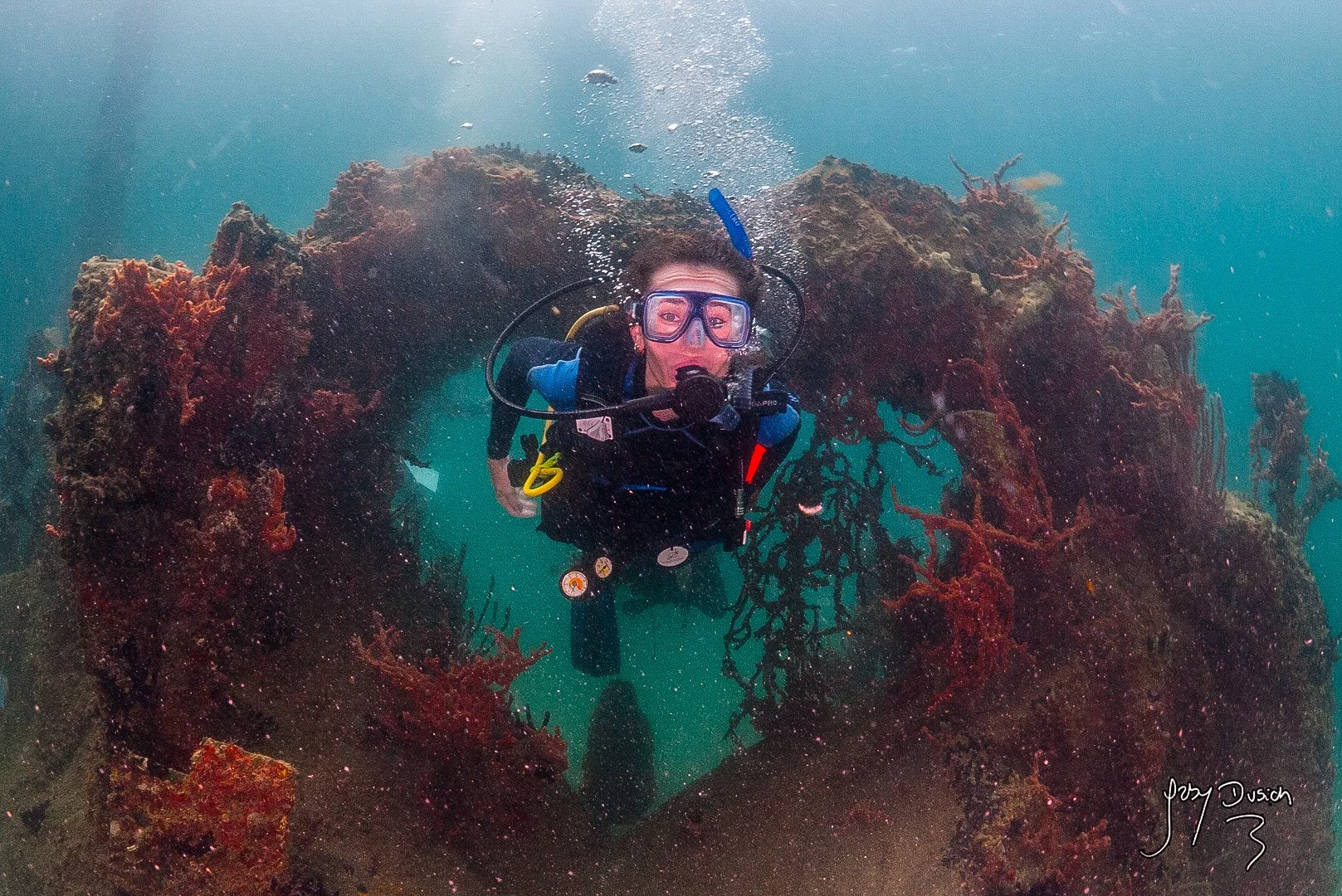 From Diving to Protecting: Marine Conservation in Bocas del Toro