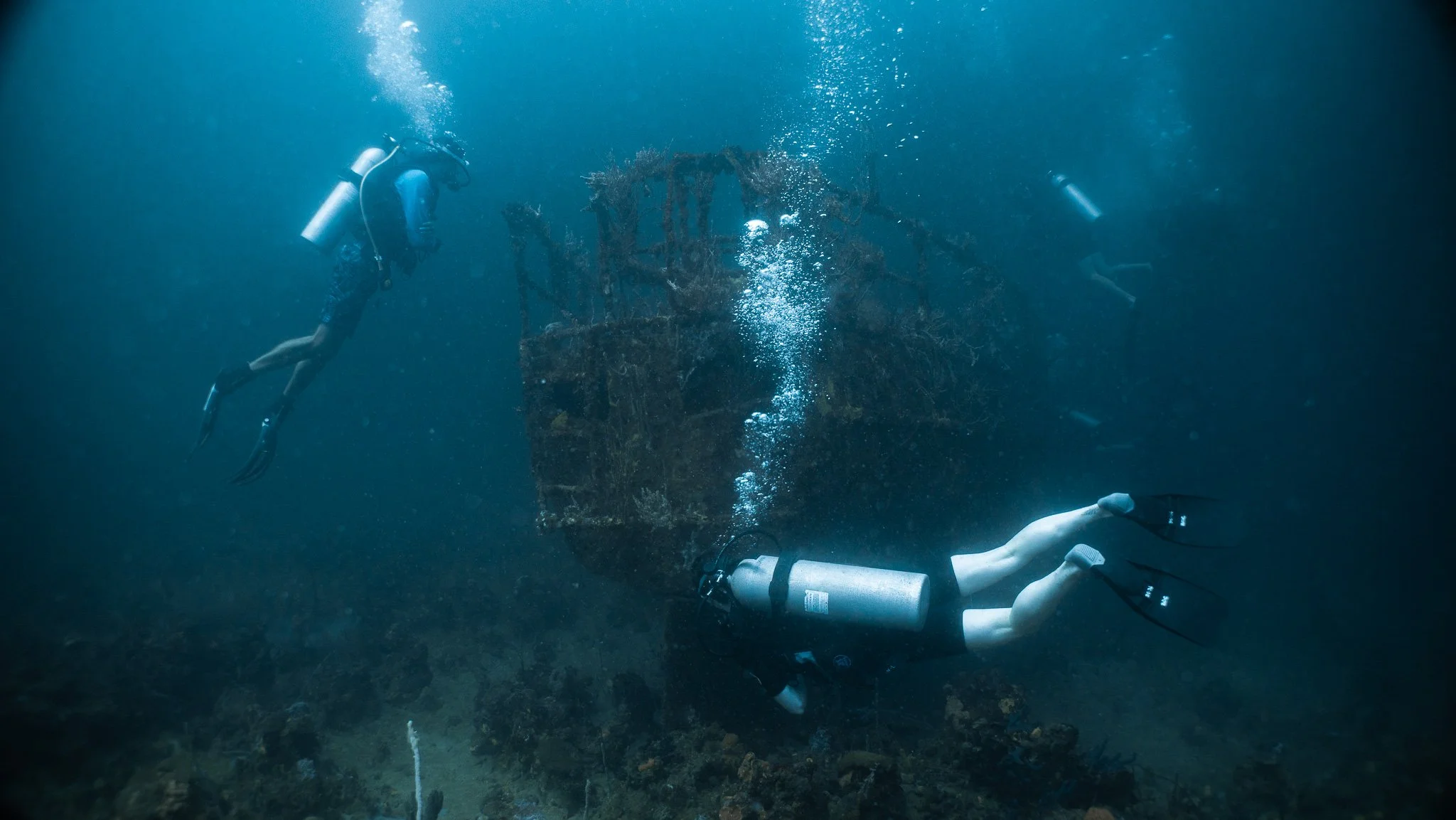 Discover Bocas del Toro Beyond the Surface: How Diving Connects You With Nature