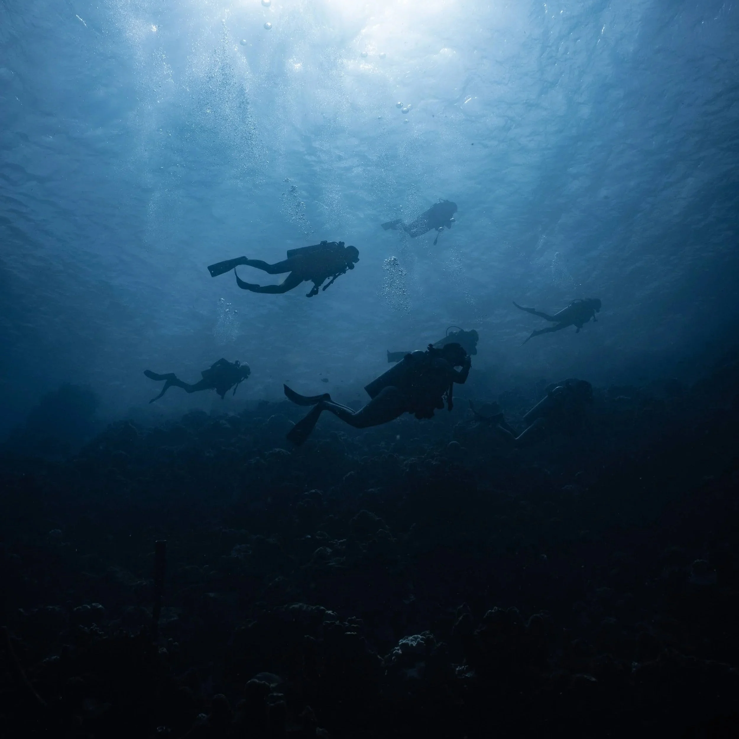 5 Reasons to Start 2026 by Diving and Getting Your Open Water Certification