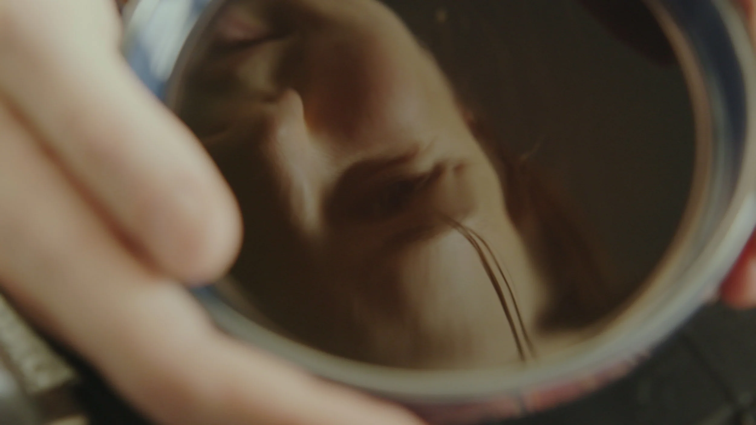 To_Return_pic_reflection.jpg