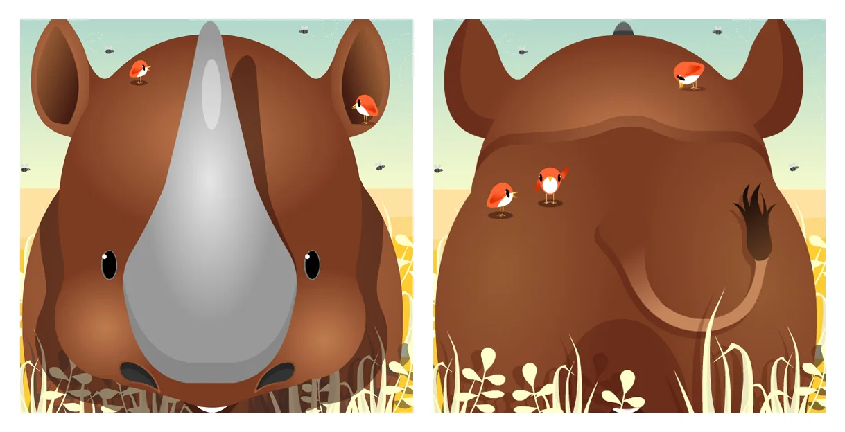 rhino_book_cover.jpg
