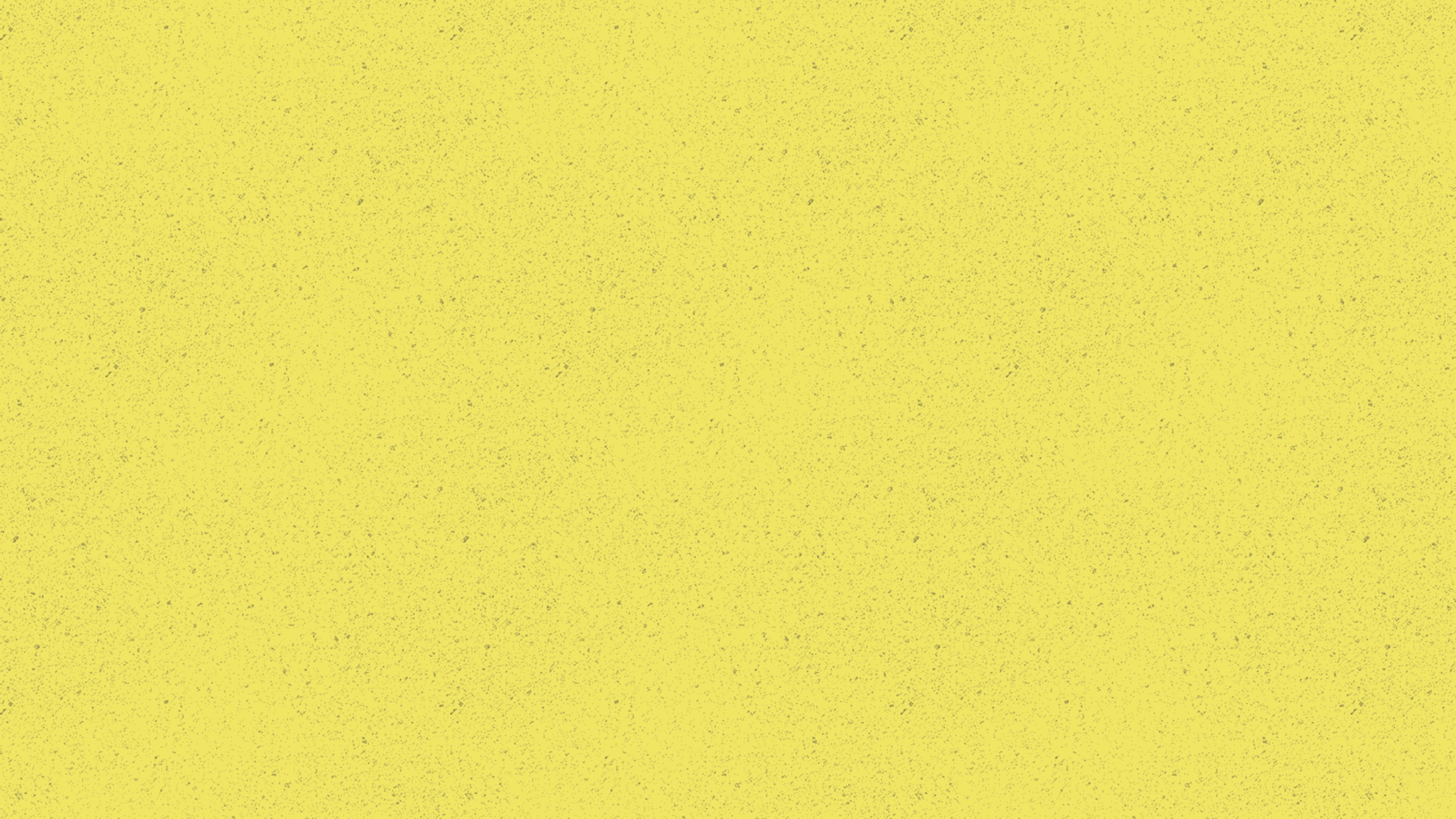 ccny_website_header.jpg