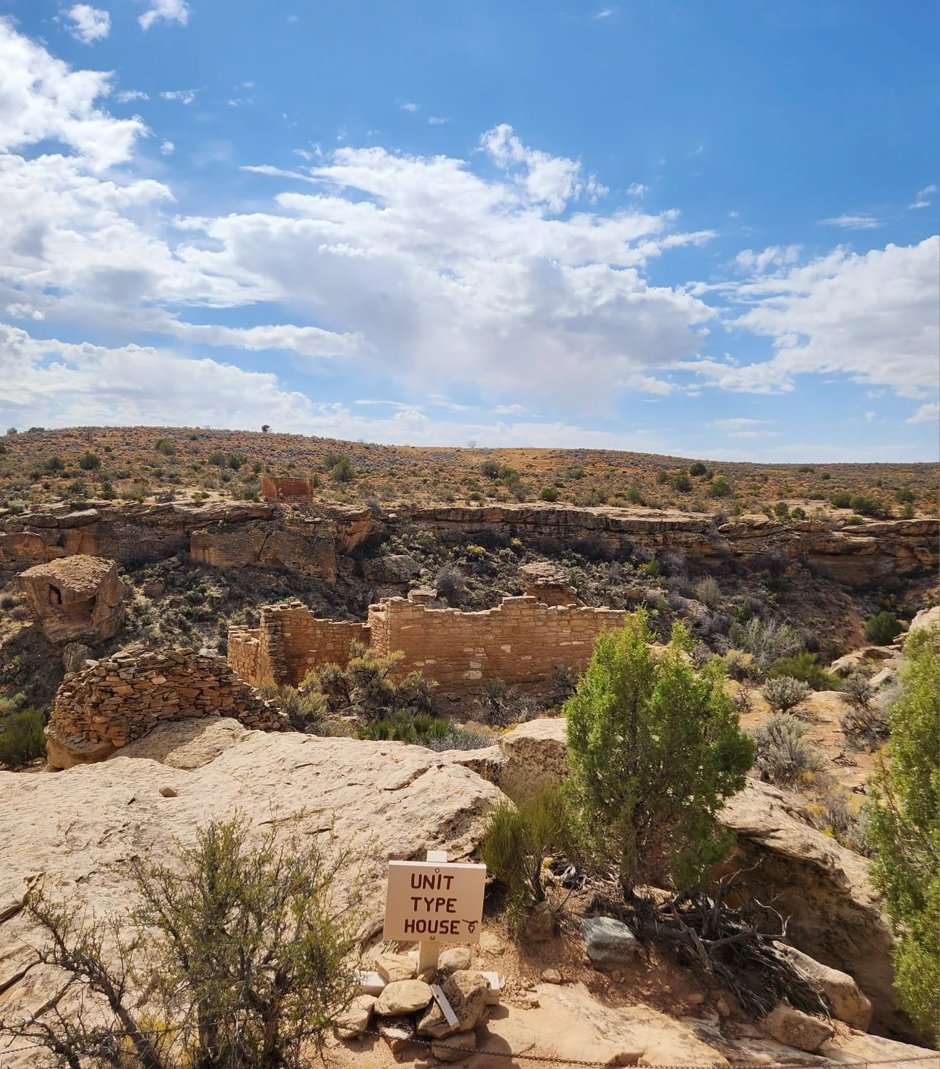 d087d1ad-e086-4315-b736-d32ace468ee4.jpg