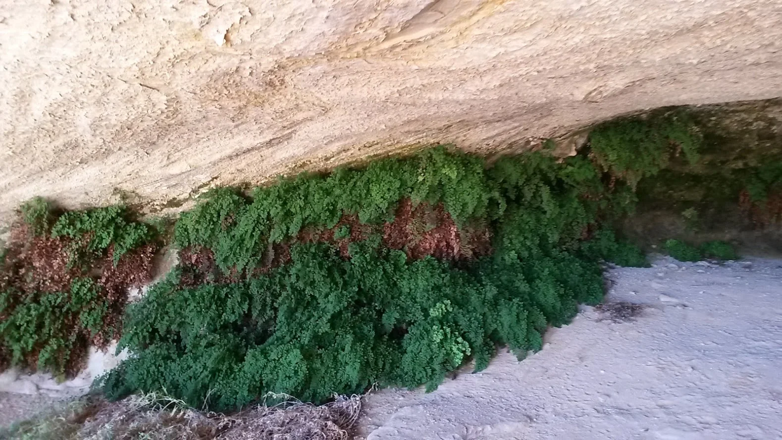20171021_130431.jpg