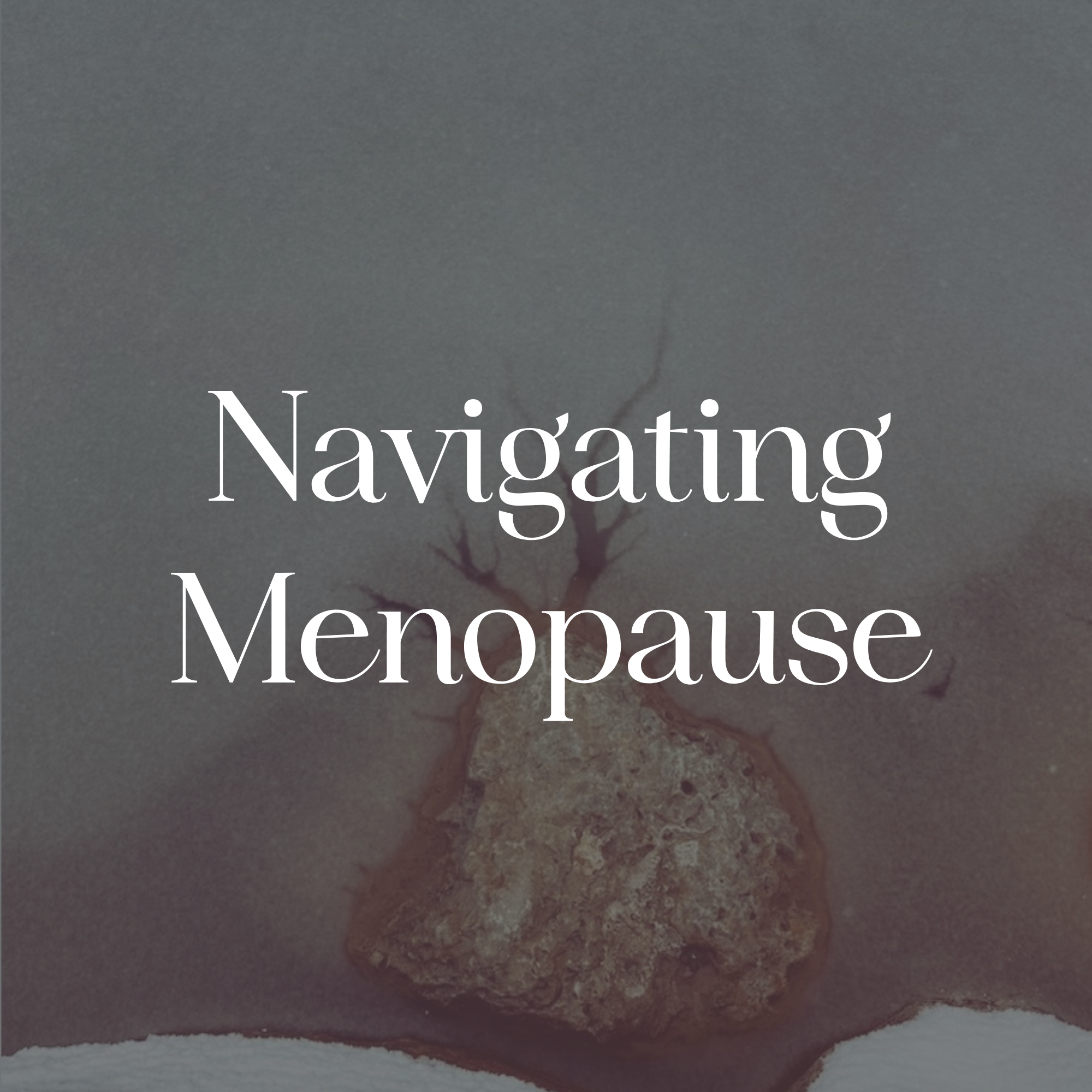A dark, stormy sky with a solitary tree breaking through the clouds and the words 'Navigating Menopause' overlayed in white text.