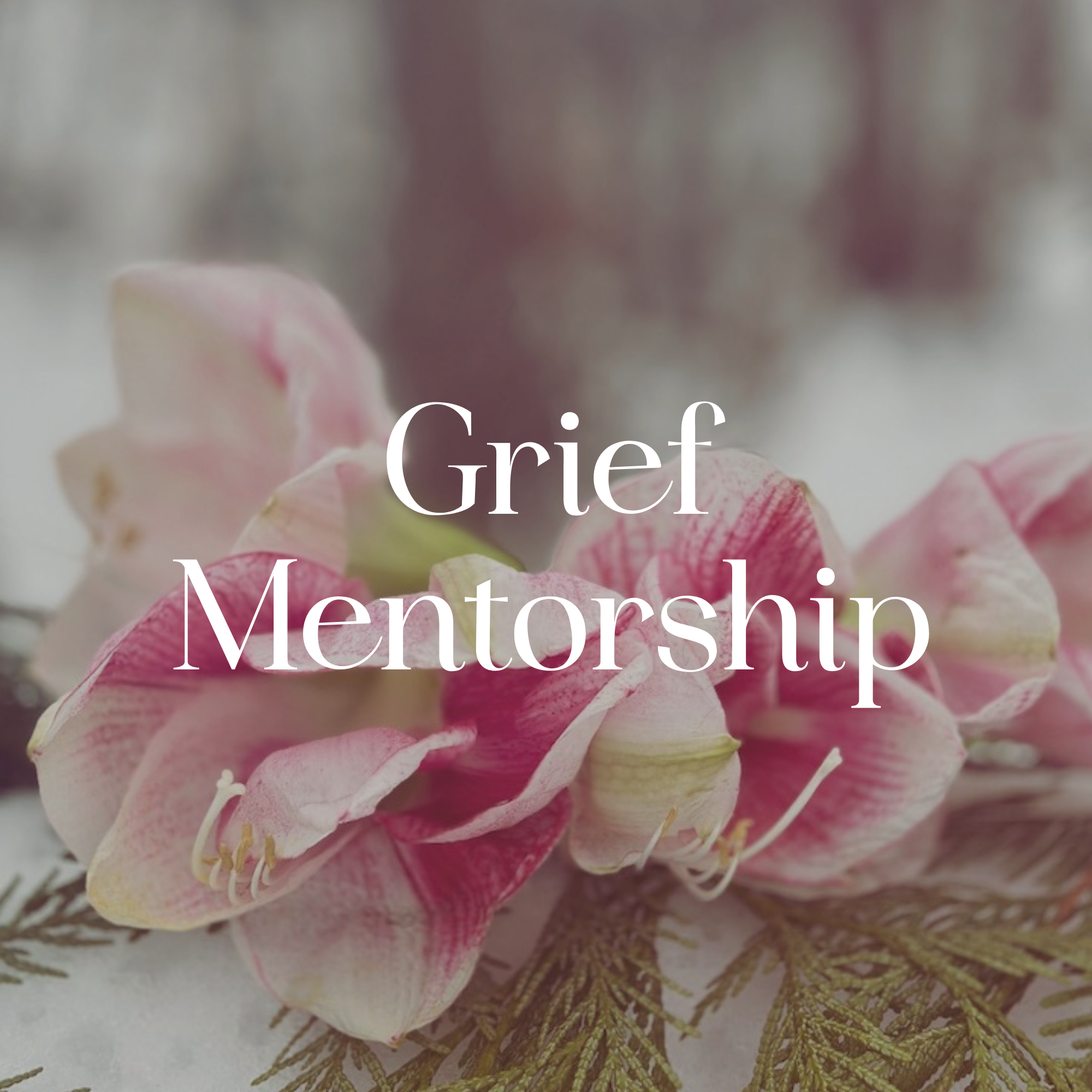 A close-up of a pink and white flower shaped like a rose with text overlay that reads 'Grief' and 'Mento'.