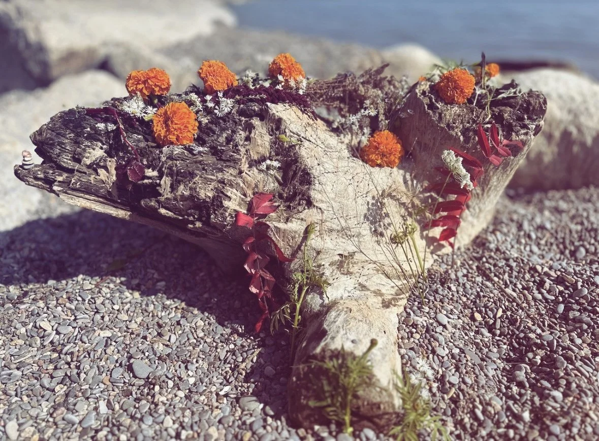 Decorative arrangement of orange marigold flowers, small white flowers, red leaves, and green foliage on driftwood, placed on a pebble beach.