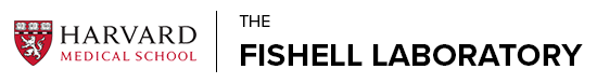 The Fishell Laboratory