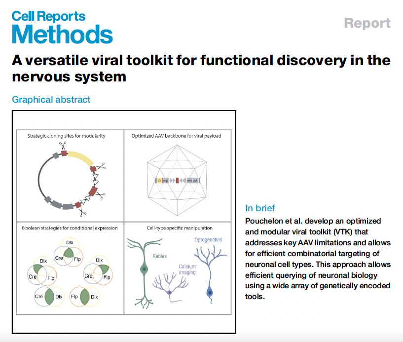 Viral toolkit_a versatile tool for functional discovery