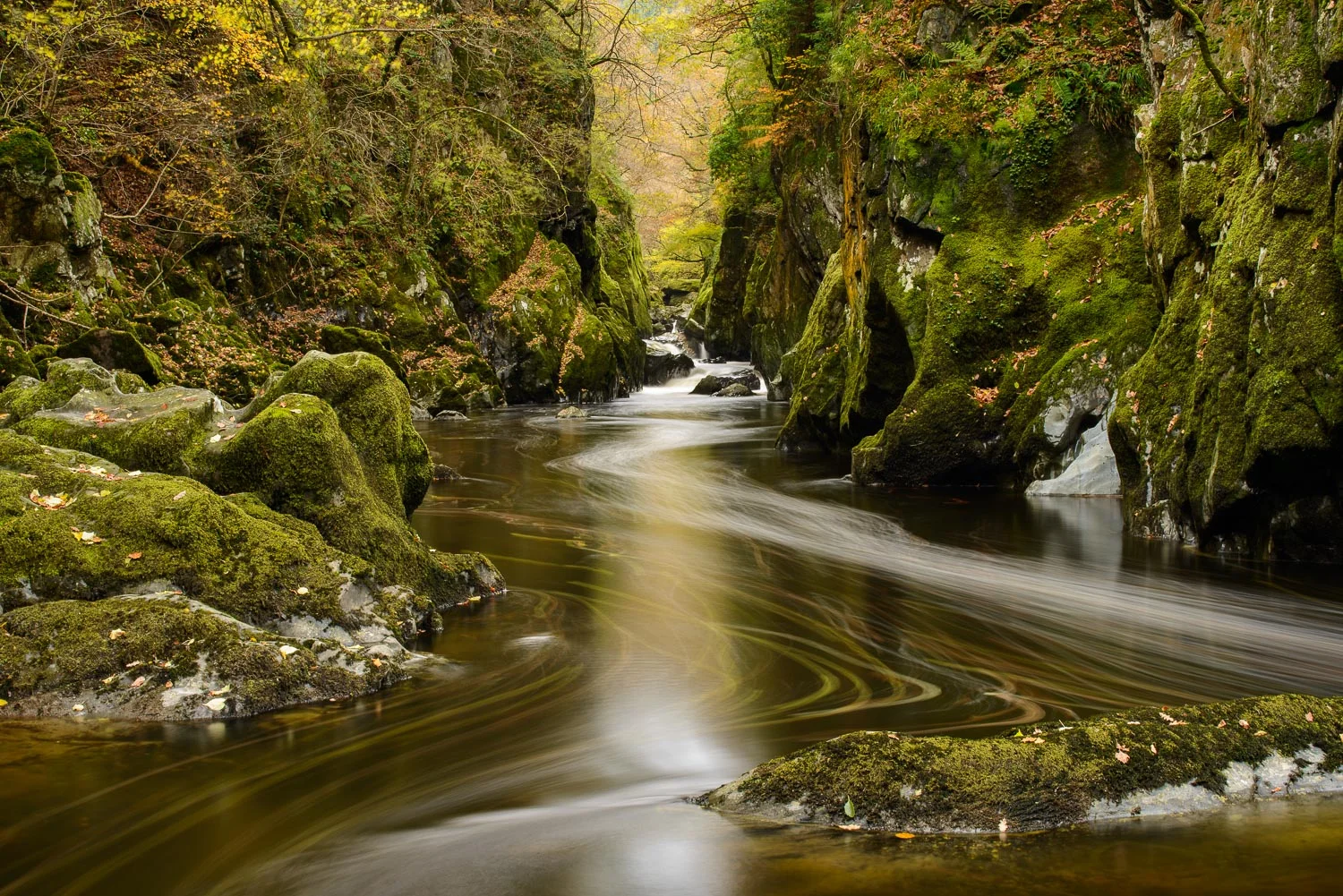 Fairy Glen