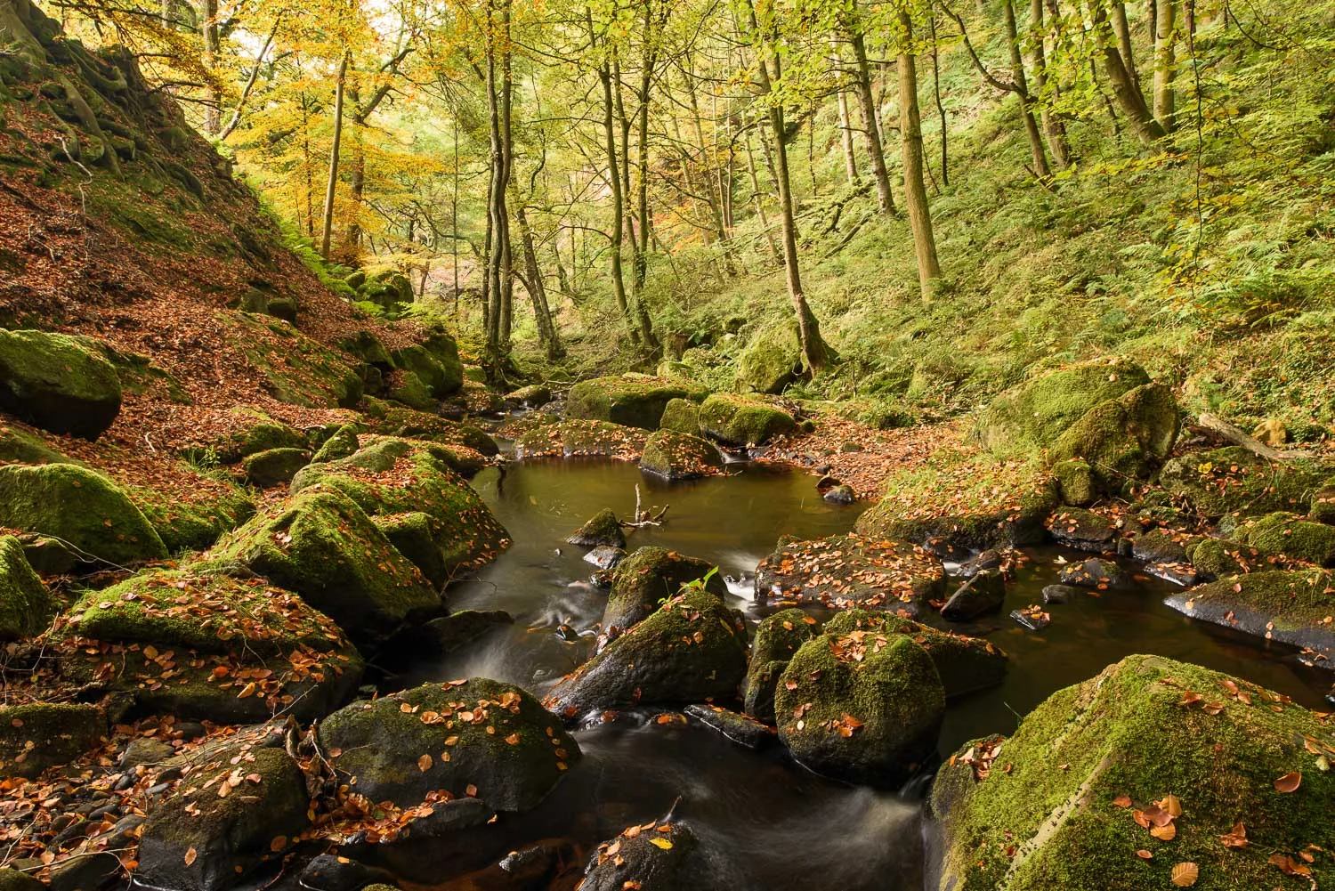 Padley Gorge