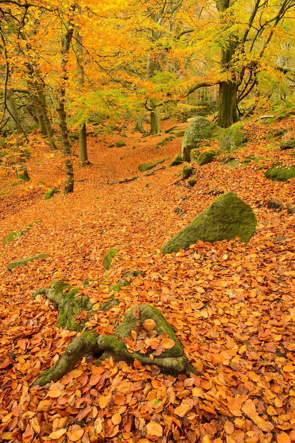 amason_ukpg_30102012_041.jpg