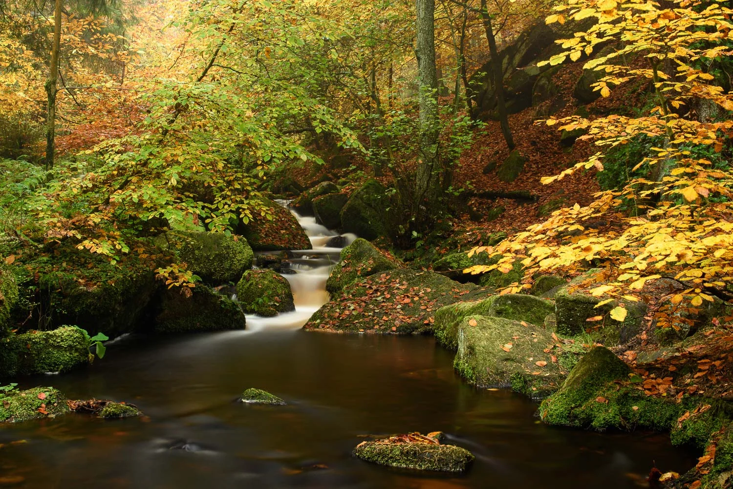 Wyming Brook