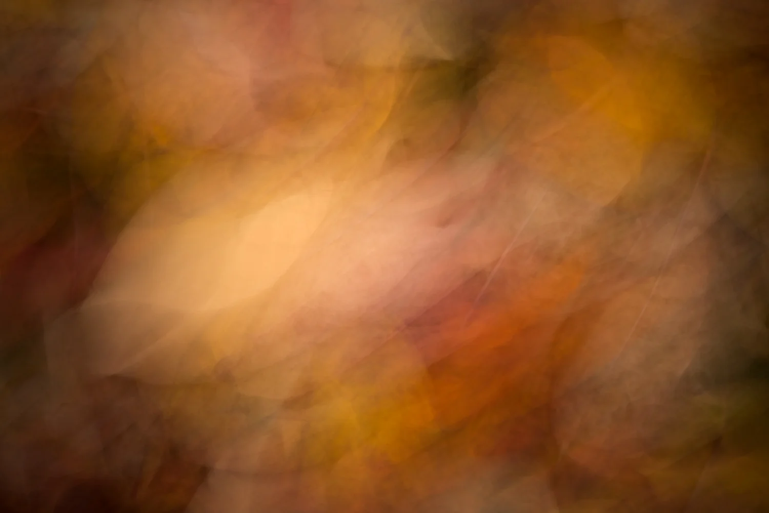 Autumn Leaves